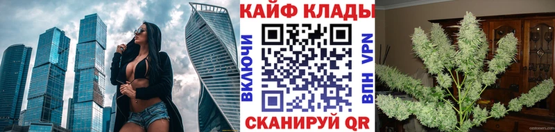 Галлюциногенные грибы Новодвинск