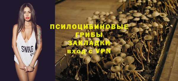 круглые Вяземский