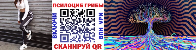 Купить где  Новодвинск  Псилоцибиновые грибы мухоморы 